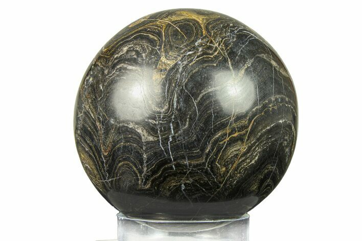 Polished Stromatolite (Greysonia) Sphere - Bolivia #302465